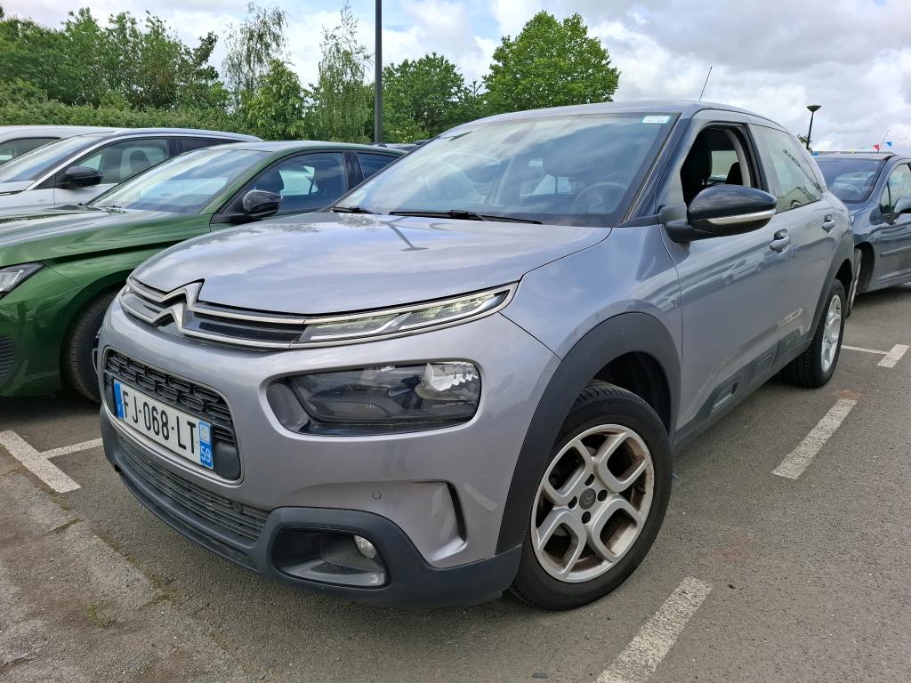 C4 CACTUS