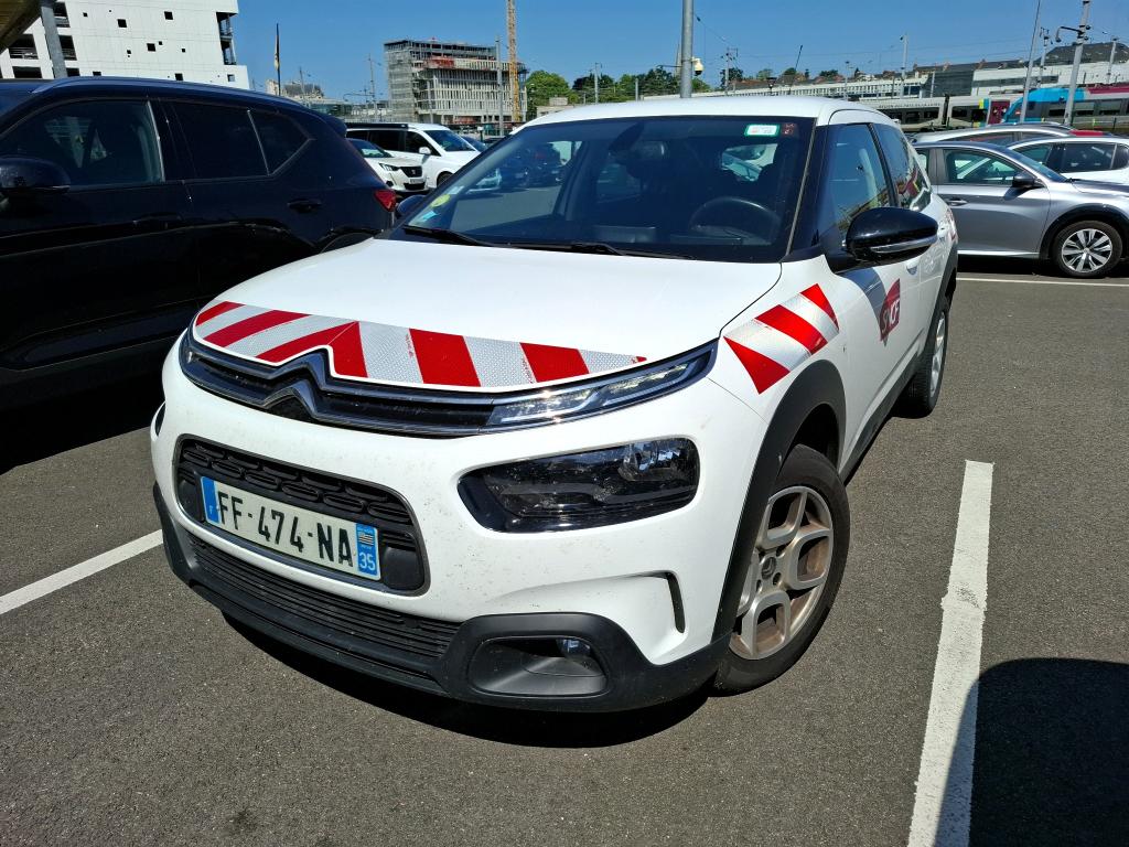 C4 CACTUS