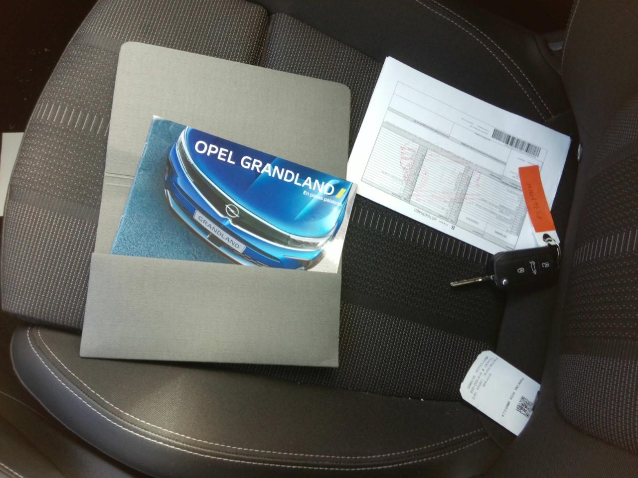 Foto Opel Grandland 15