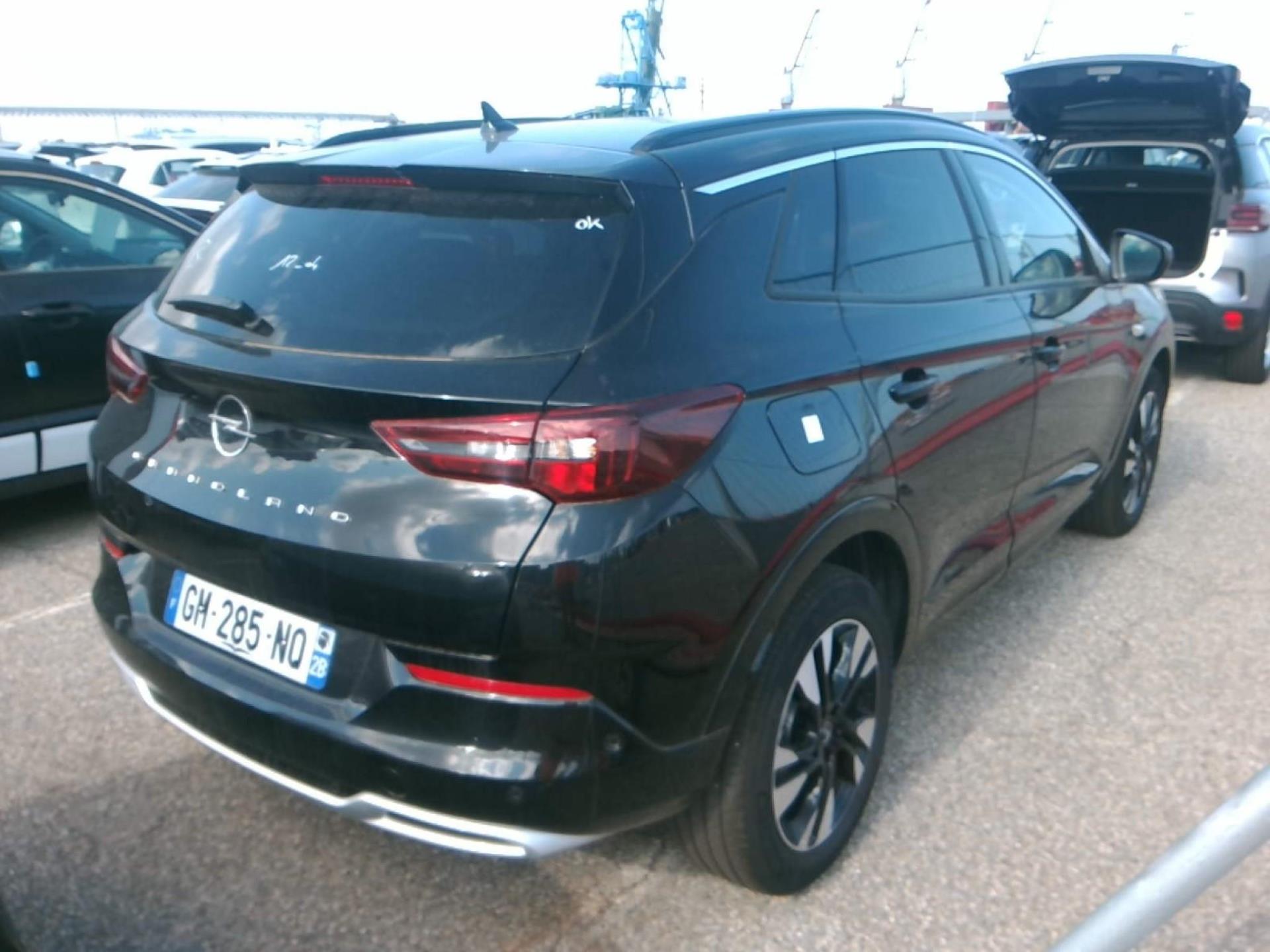 Opel Grandland 1.5 Diesel 130 ch BVA8 Elegance Business 2023