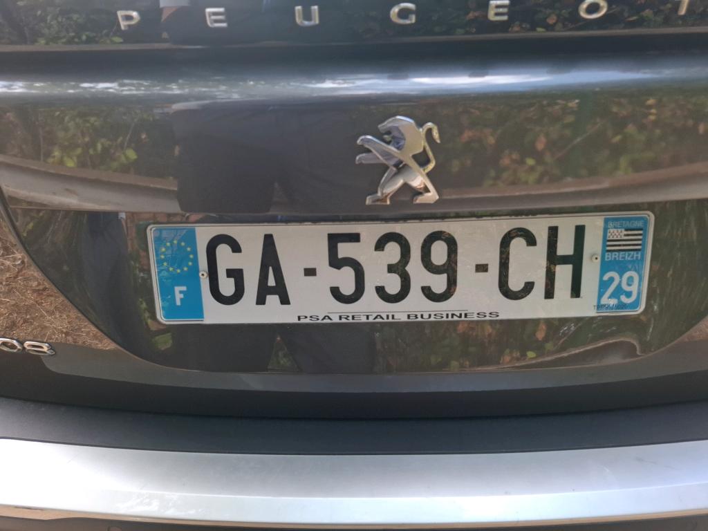 Peugeot 2008 PureTech 100 S&S BVM6 Active Business 2021