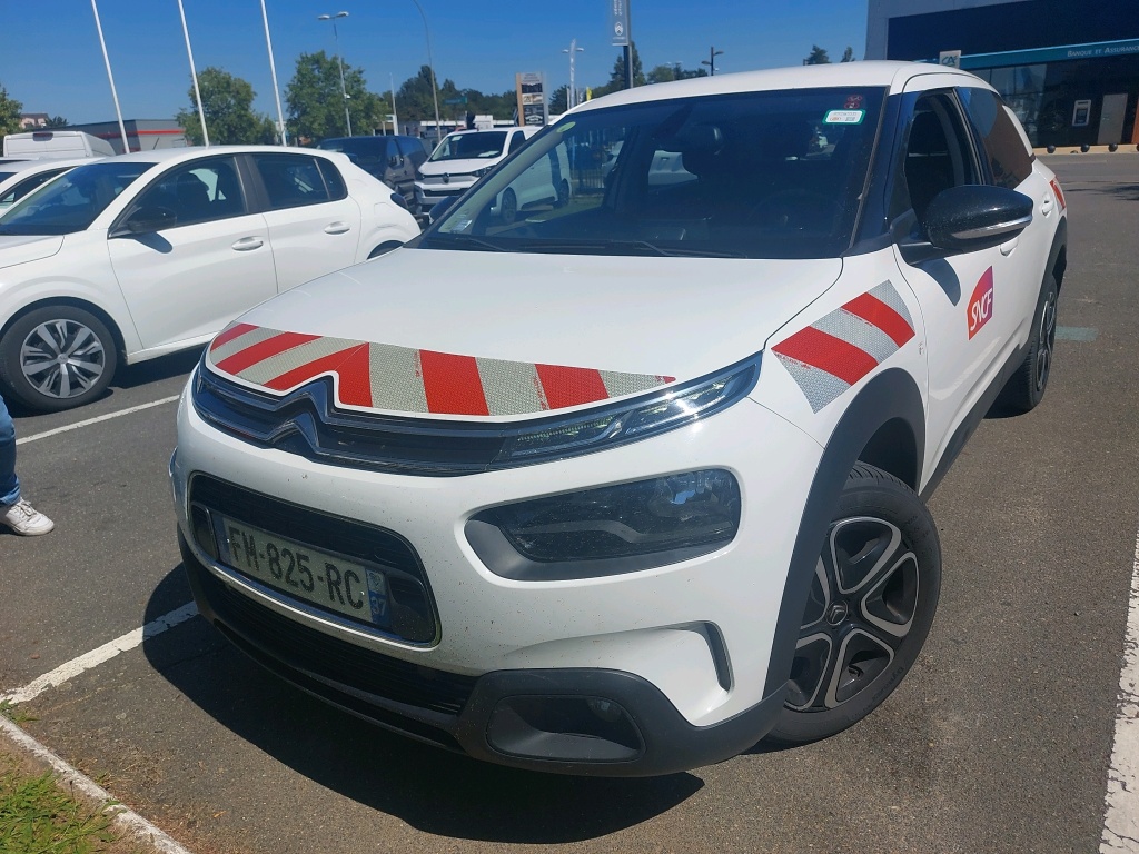 C4 CACTUS