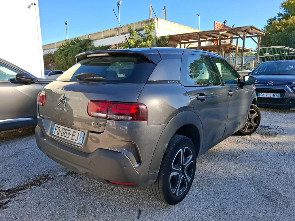 Citroen C4 Cactus BlueHDi 100 S&S BVM6 Feel Business 2020