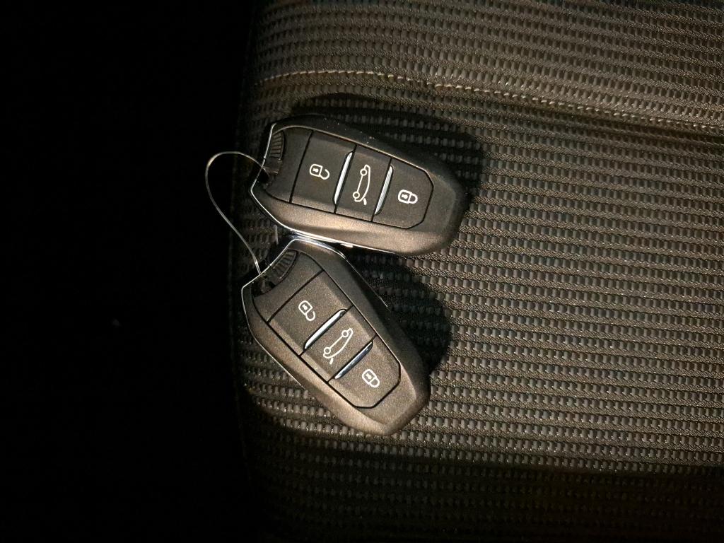 DS DS 4 Hybride E-Tense 225 EAT8 Performance Line+ 2022