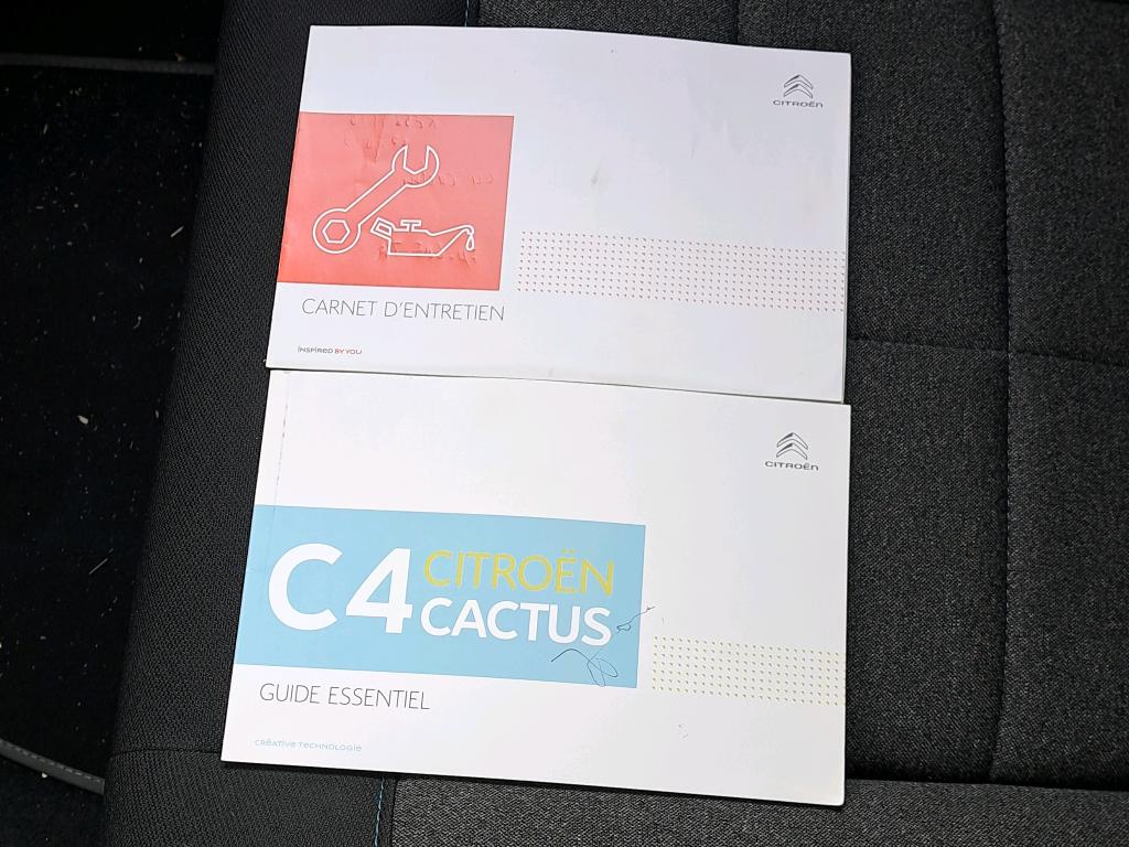 Citroen C4 Cactus BlueHDi 100 S&S BVM6 Shine Business 2019