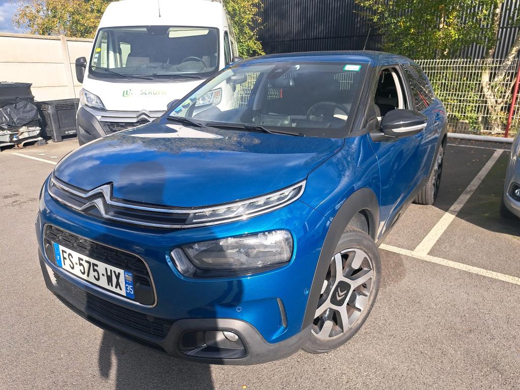 C4 CACTUS