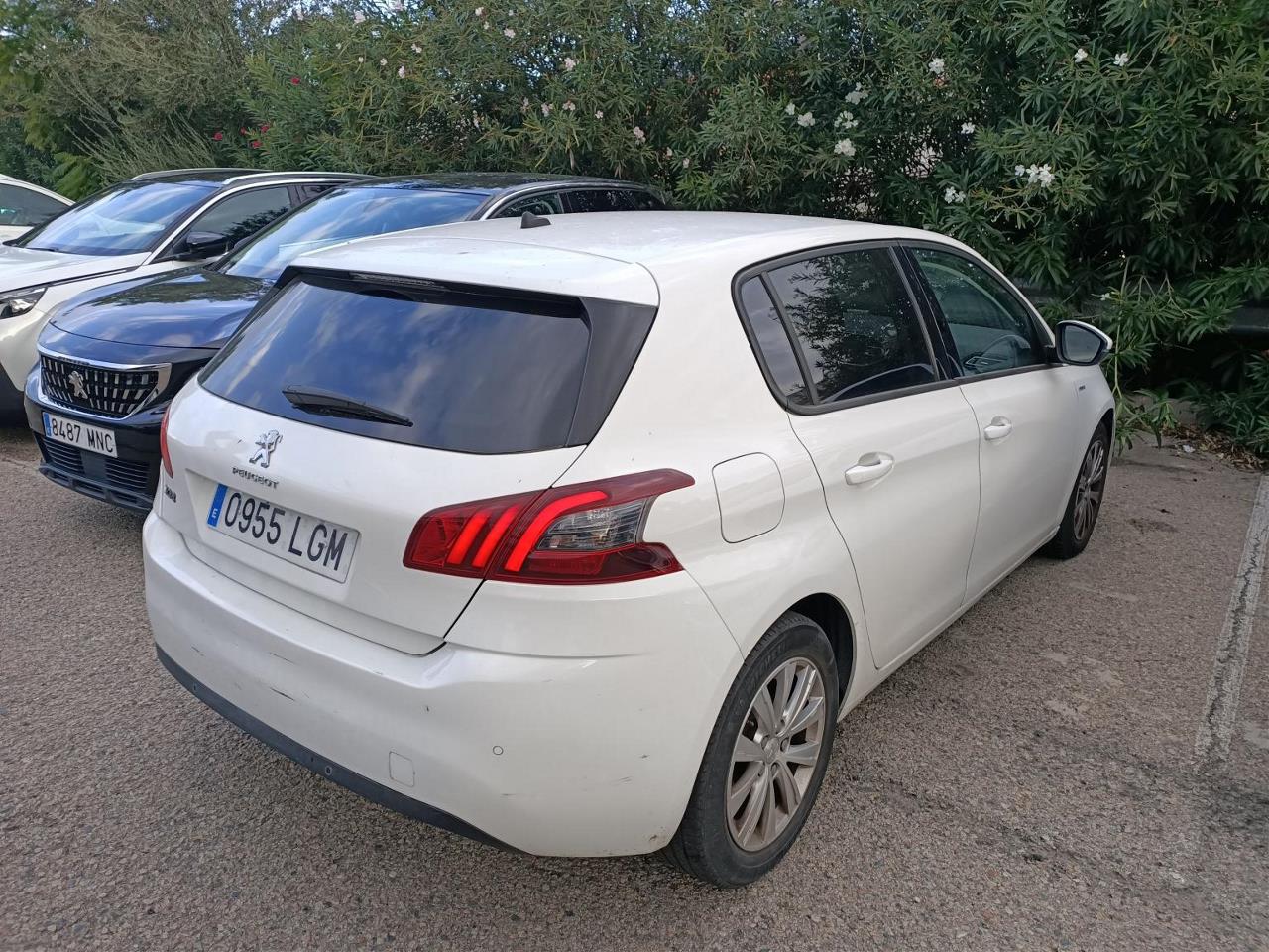 Foto Peugeot 308 3