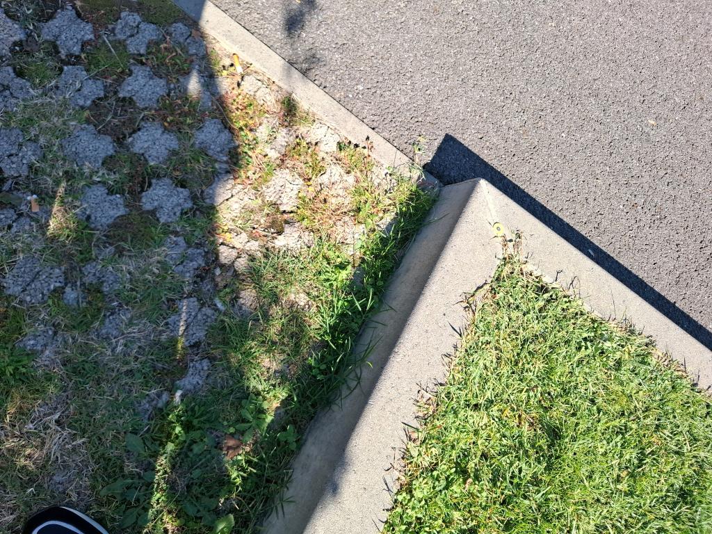 Citroen C3 PureTech 83 ch BVM5 You 2023