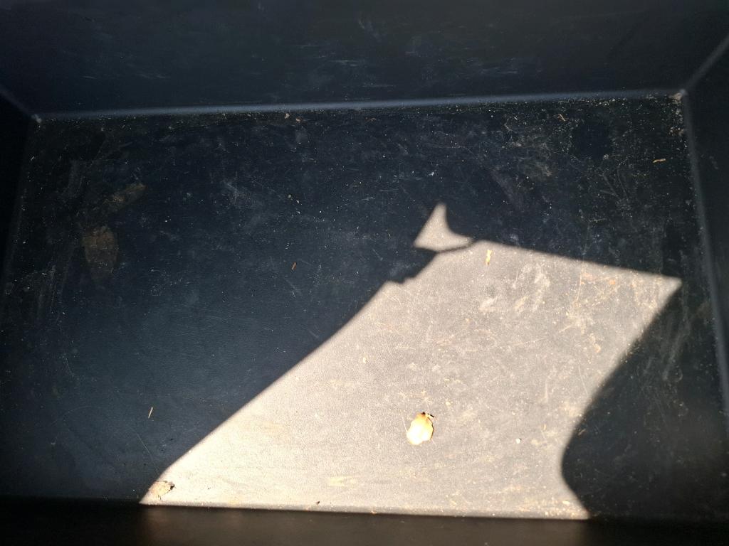 Peugeot 3008 Hybrid 225 e-EAT8 Allure 2022