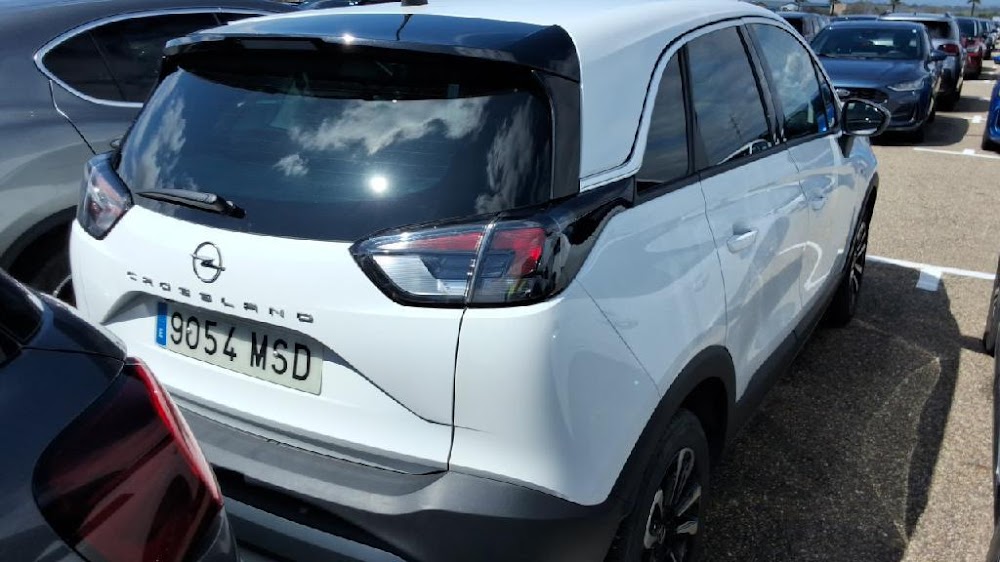 Foto Opel CrossLand 12