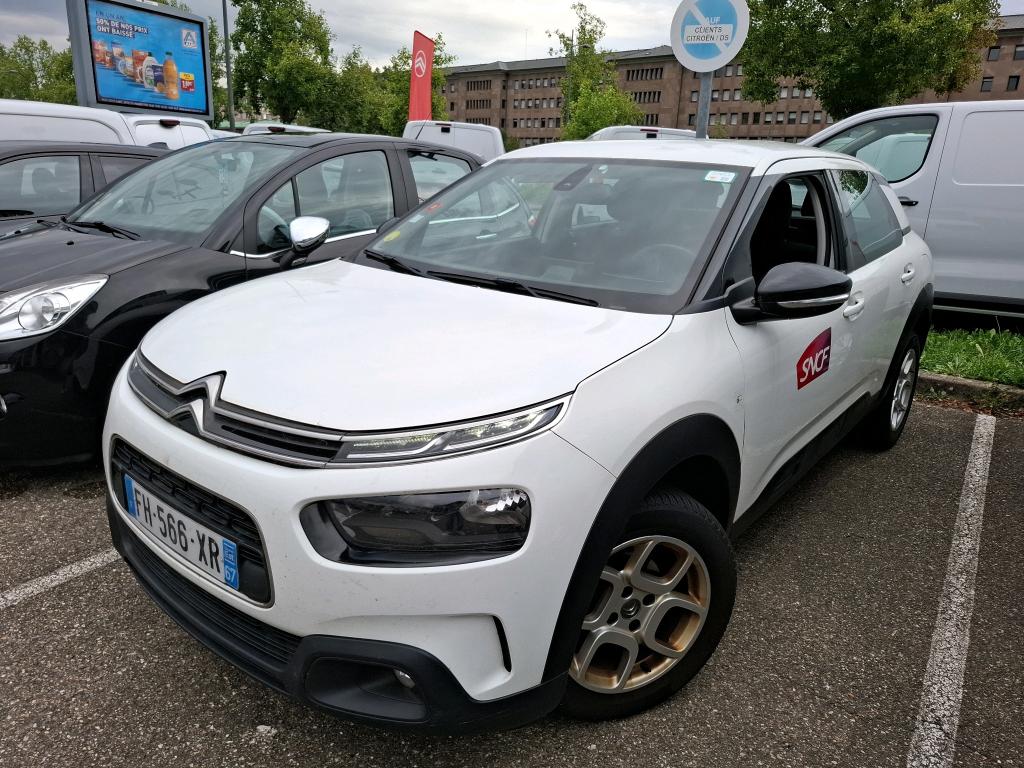 C4 CACTUS