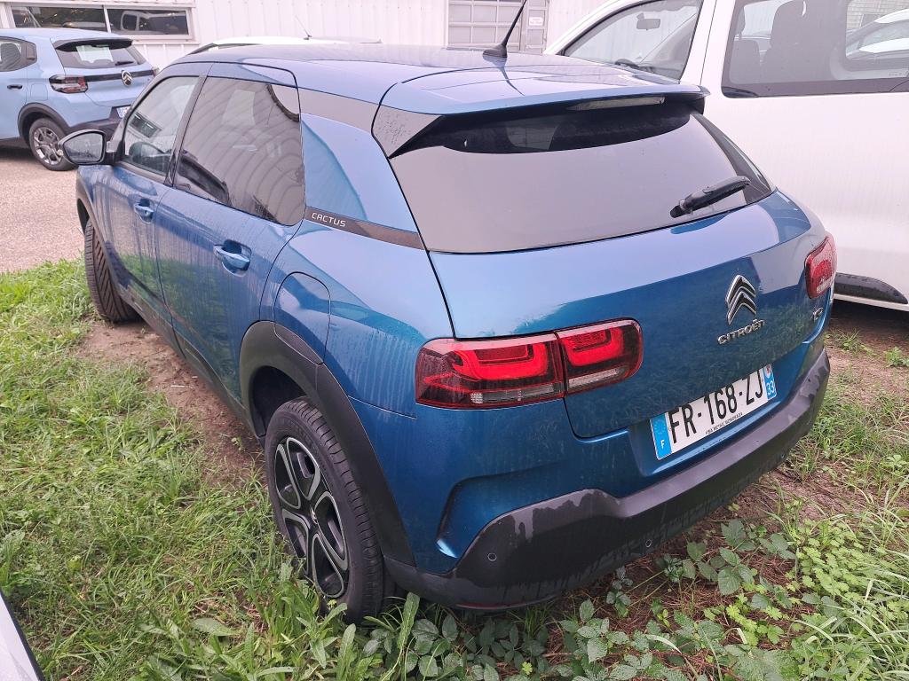 Citroen C4 Cactus PureTech 110 S&S BVM6 Feel Business 2020