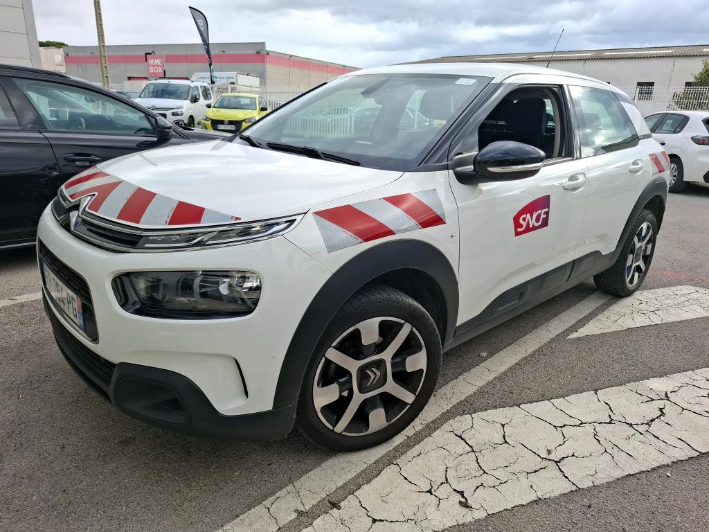 C4 CACTUS