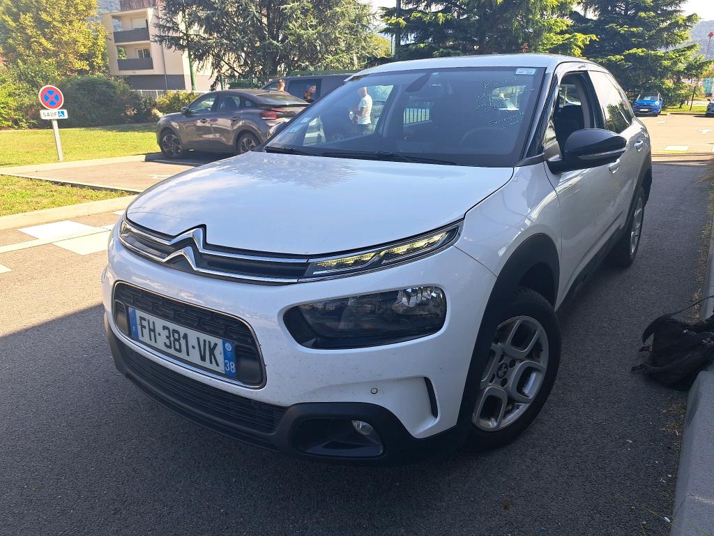 C4 CACTUS