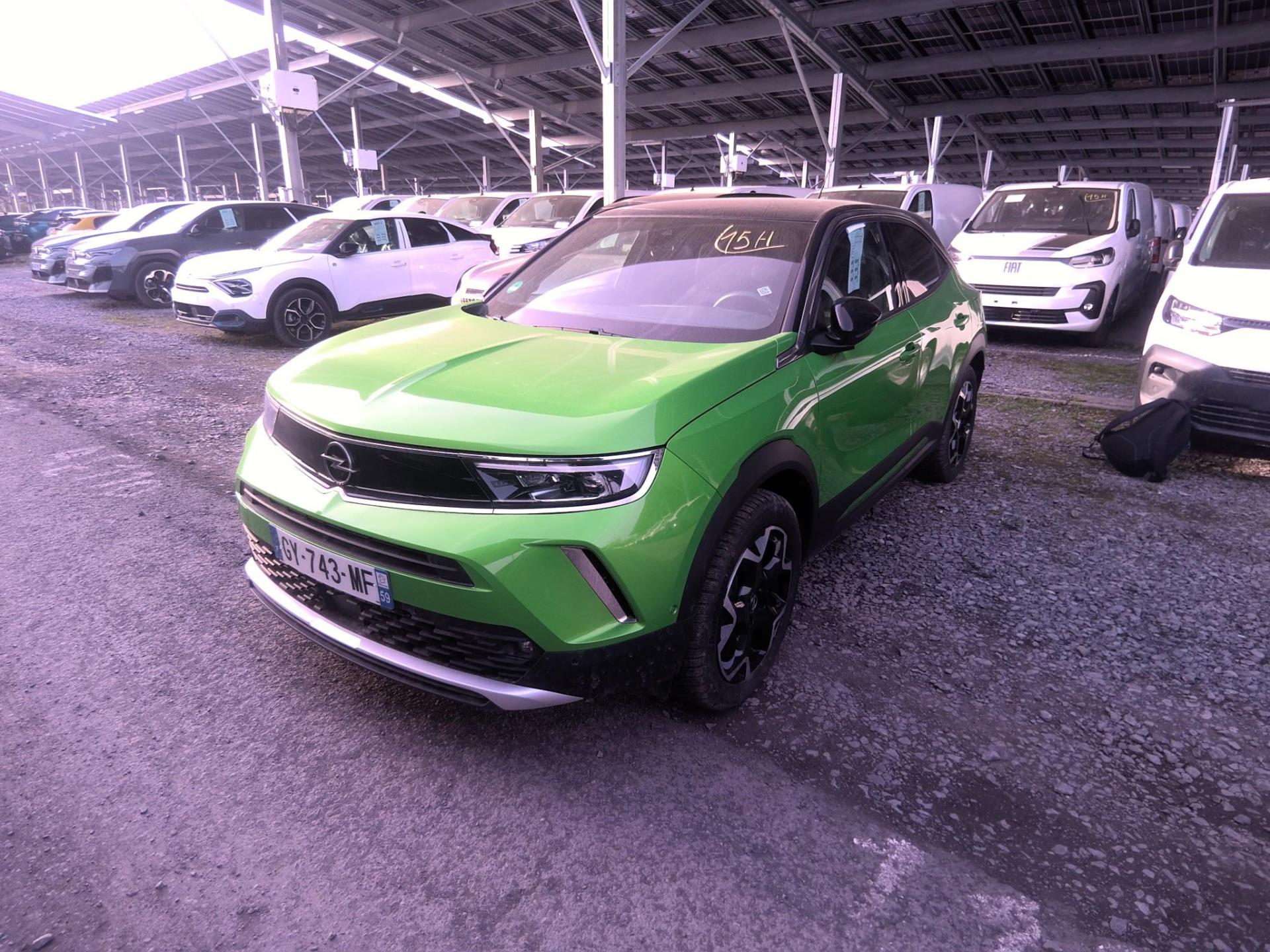 MOKKA B