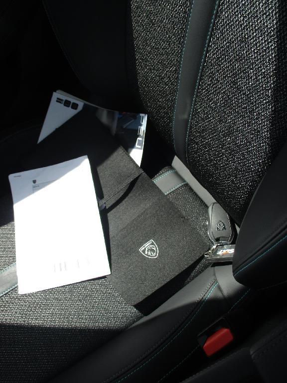 Foto Peugeot 308 15