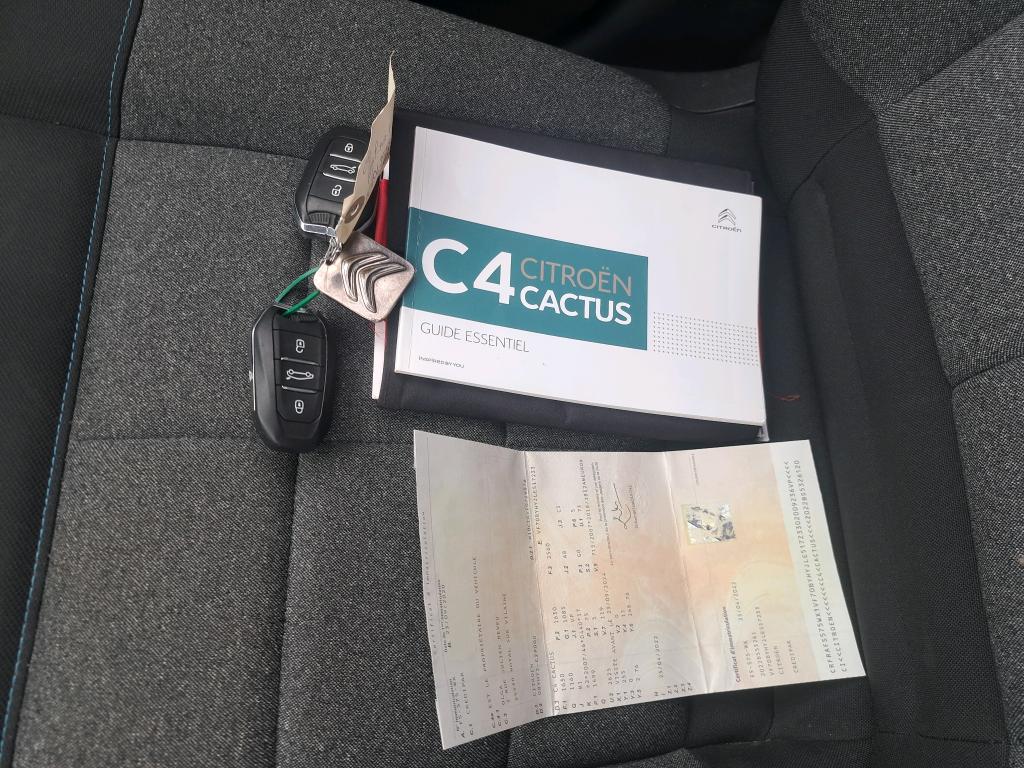 Citroen C4 Cactus BlueHDi 100 S&S BVM6 Shine Business 2020