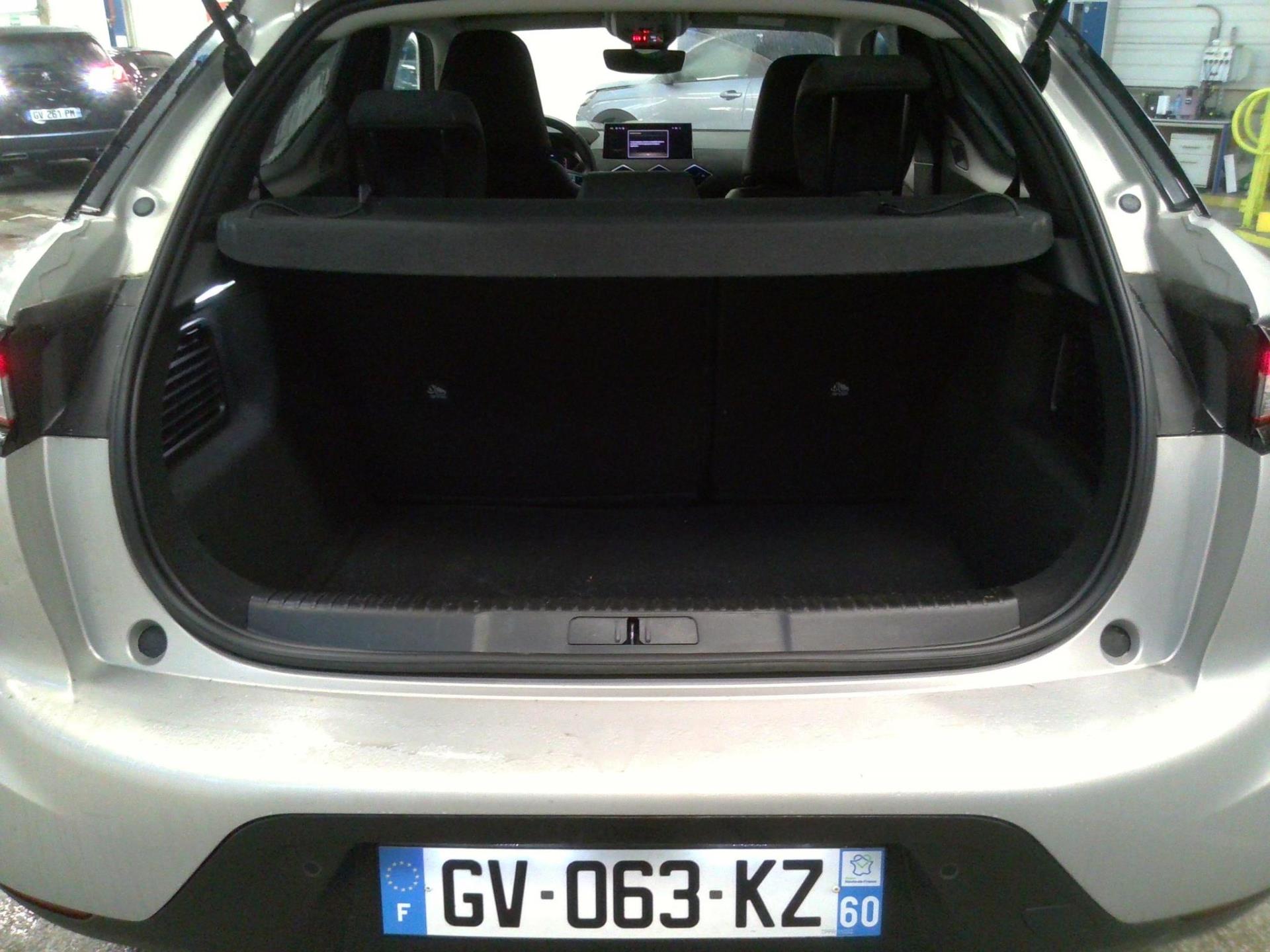 DS DS 3 PureTech 100 BVM6 Performance Line 2024