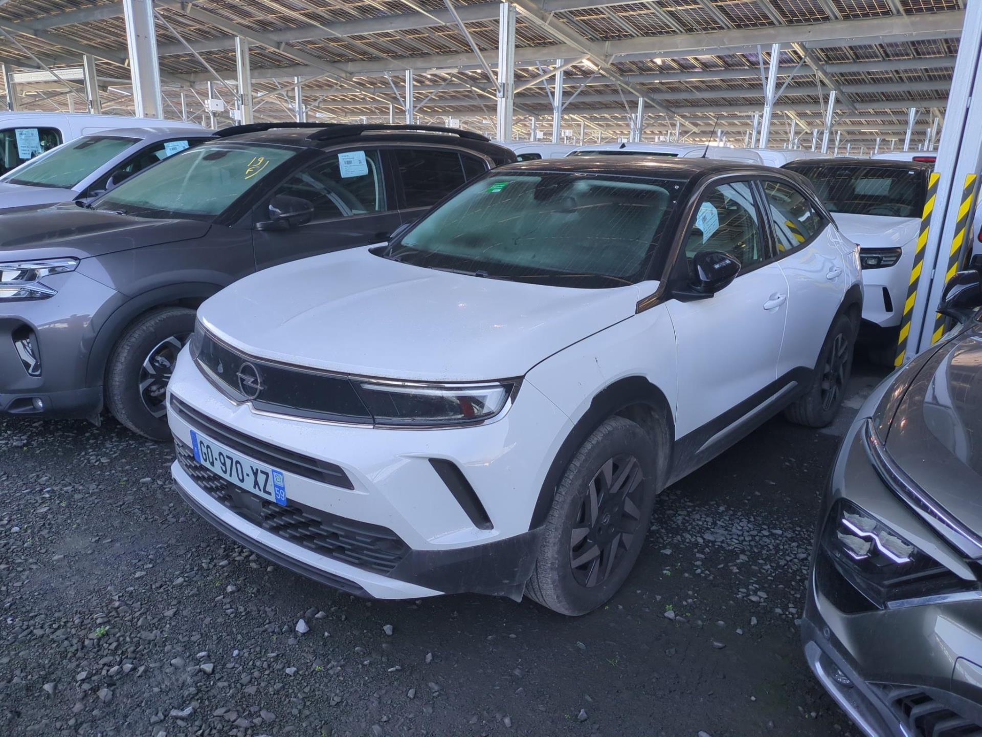 MOKKA B