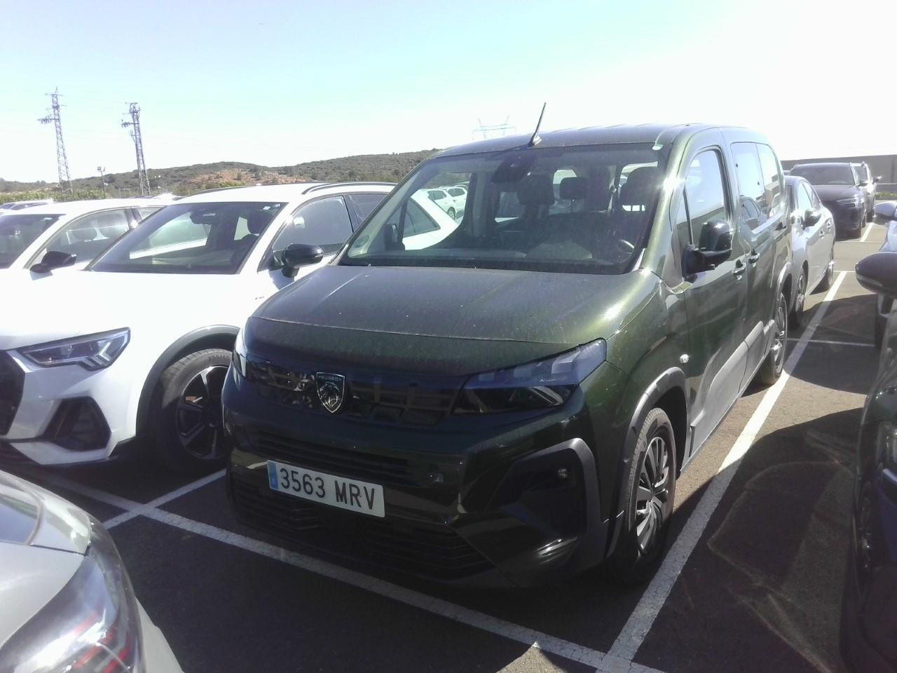 Foto Peugeot Rifter 8