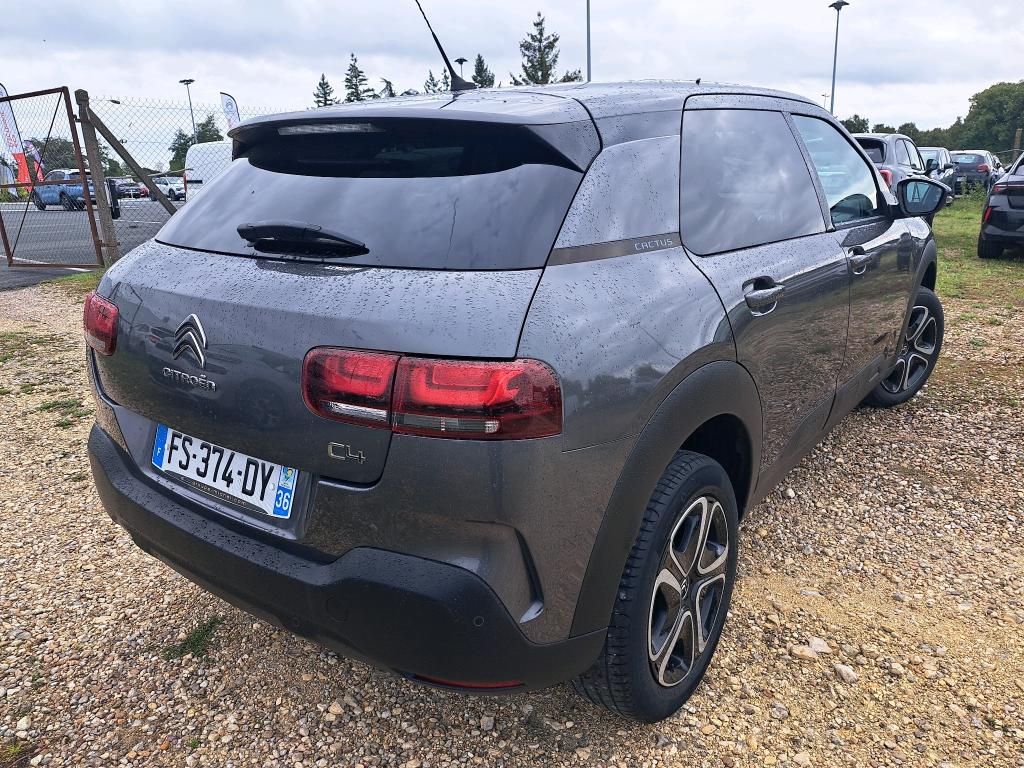 Citroen C4 Cactus BlueHDi 100 S&S BVM6 Feel Business 2020