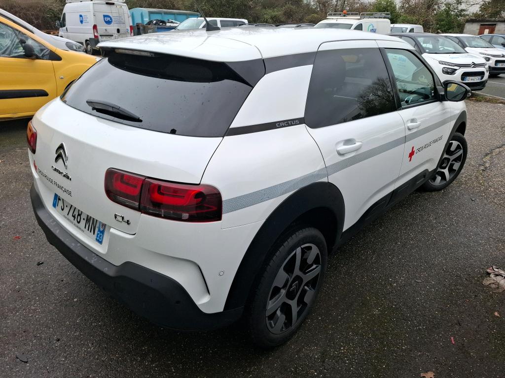 Citroen C4 Cactus BlueHDi 100 S&S BVM6 Shine Business 2020