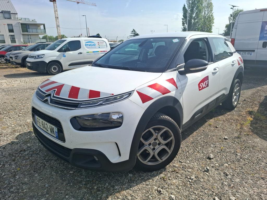 C4 CACTUS