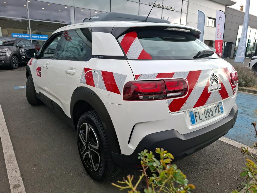 Citroen C4 Cactus BlueHDi 100 S&S BVM6 Feel 2019