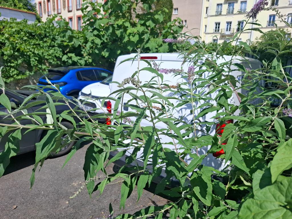 Citroen JUMPY FGN M BLUEHDI 145 S&S EAT8 DRIVER 2022