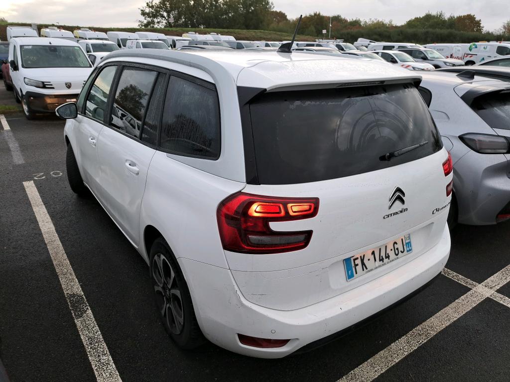 Citroen Grand C4 Spacetourer BlueHDi 130 S&S EAT8 Business 2019