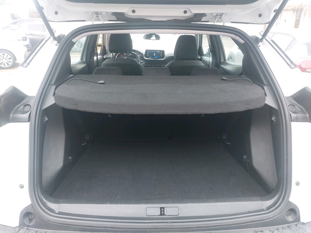 Peugeot 2008 BlueHDi 100 S&S BVM6 Active Business 2020
