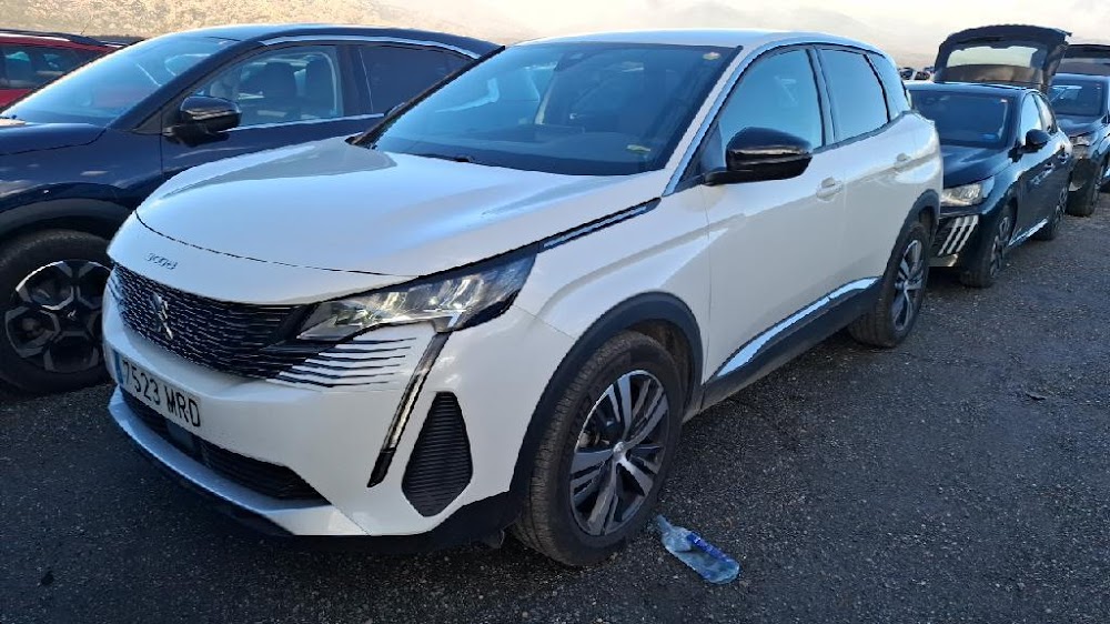 Foto Peugeot 3008 4