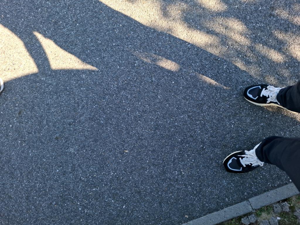 Citroen C3 PureTech 83 ch BVM5 You 2023