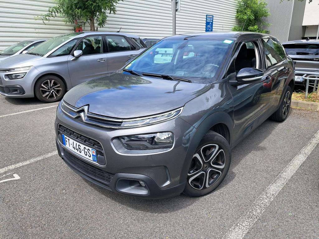 C4 CACTUS