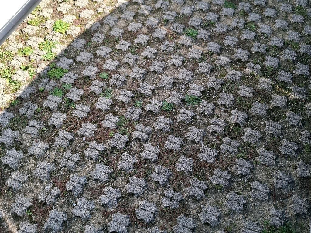 Citroen C3 PureTech 83 ch BVM5 You 2023