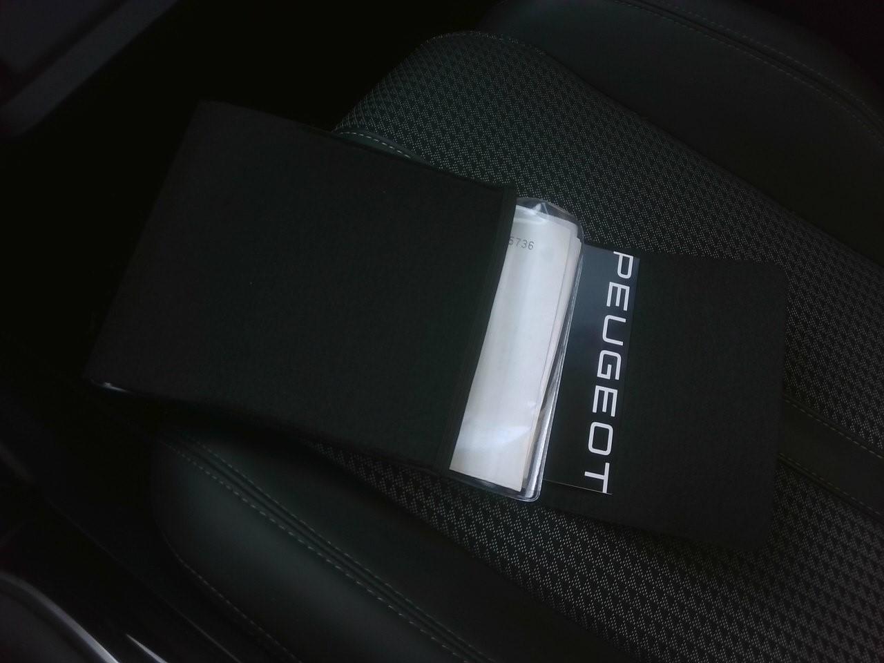 Foto Peugeot 2008 9