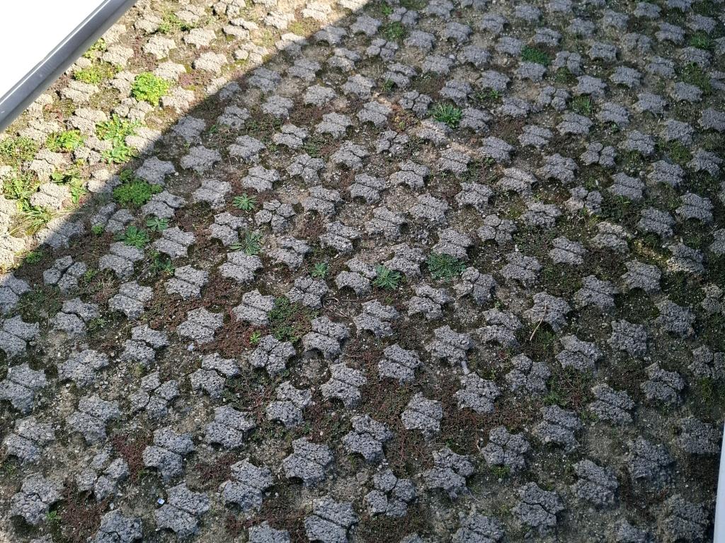 Citroen C3 PureTech 83 ch BVM5 You 2023