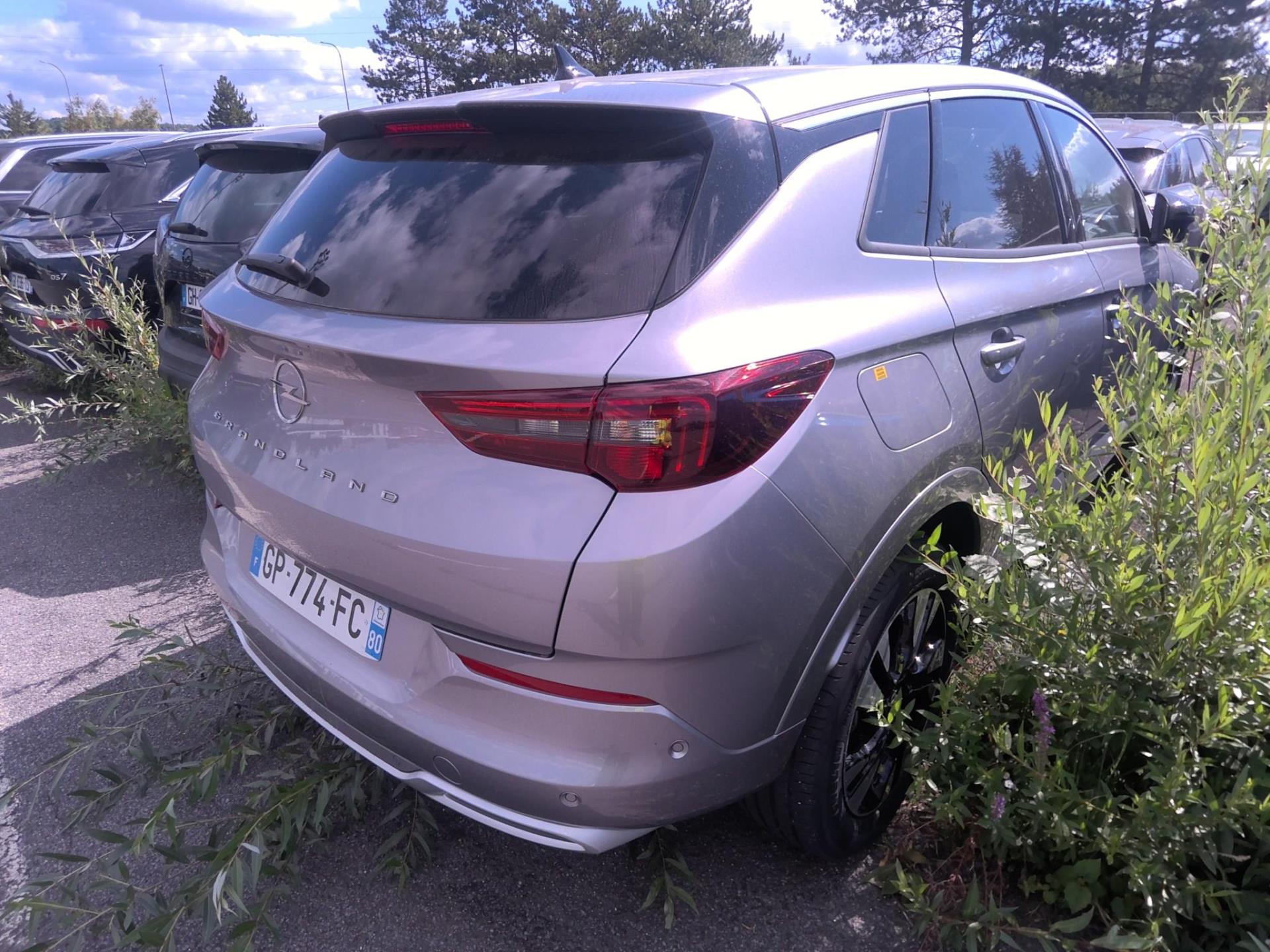 Opel Grandland 1.5 Diesel 130 ch BVA8 Elegance Business 2023