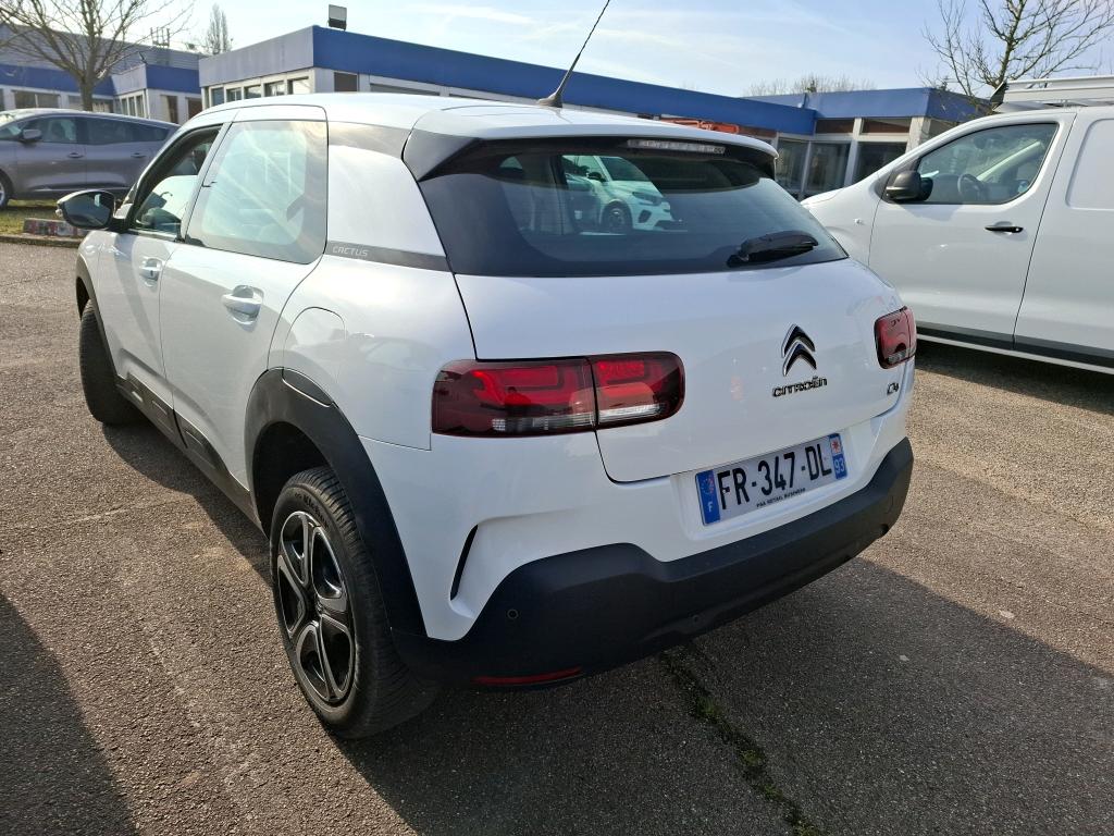 Citroen C4 CACTUS SOCIETE BLUEHDI 120 S&S EAT6 FEEL NAV 2020