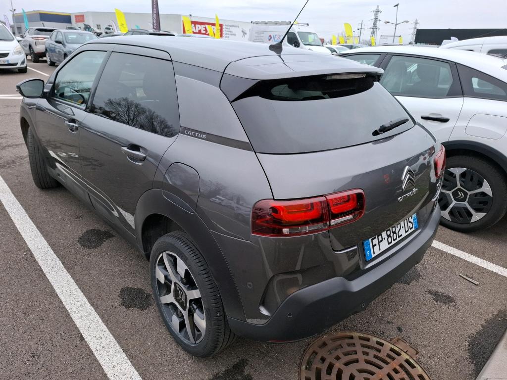 Citroen C4 Cactus BlueHDi 120 S&S EAT6 Shine Business 2020