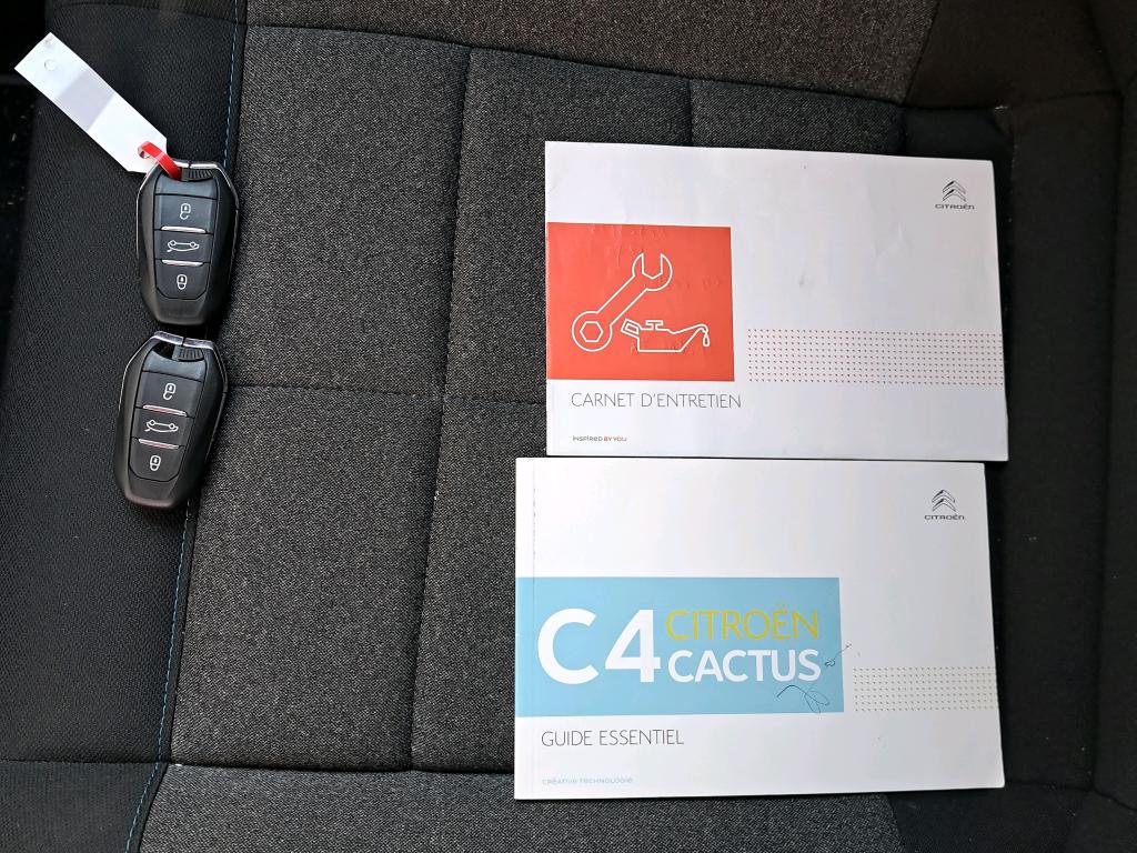 Citroen C4 Cactus BlueHDi 100 S&S BVM6 Shine Business 2019