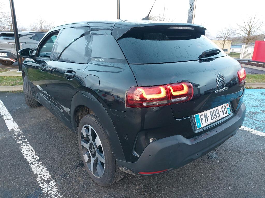 Citroen C4 Cactus PureTech 110 S&S BVM6 Shine Business 2019