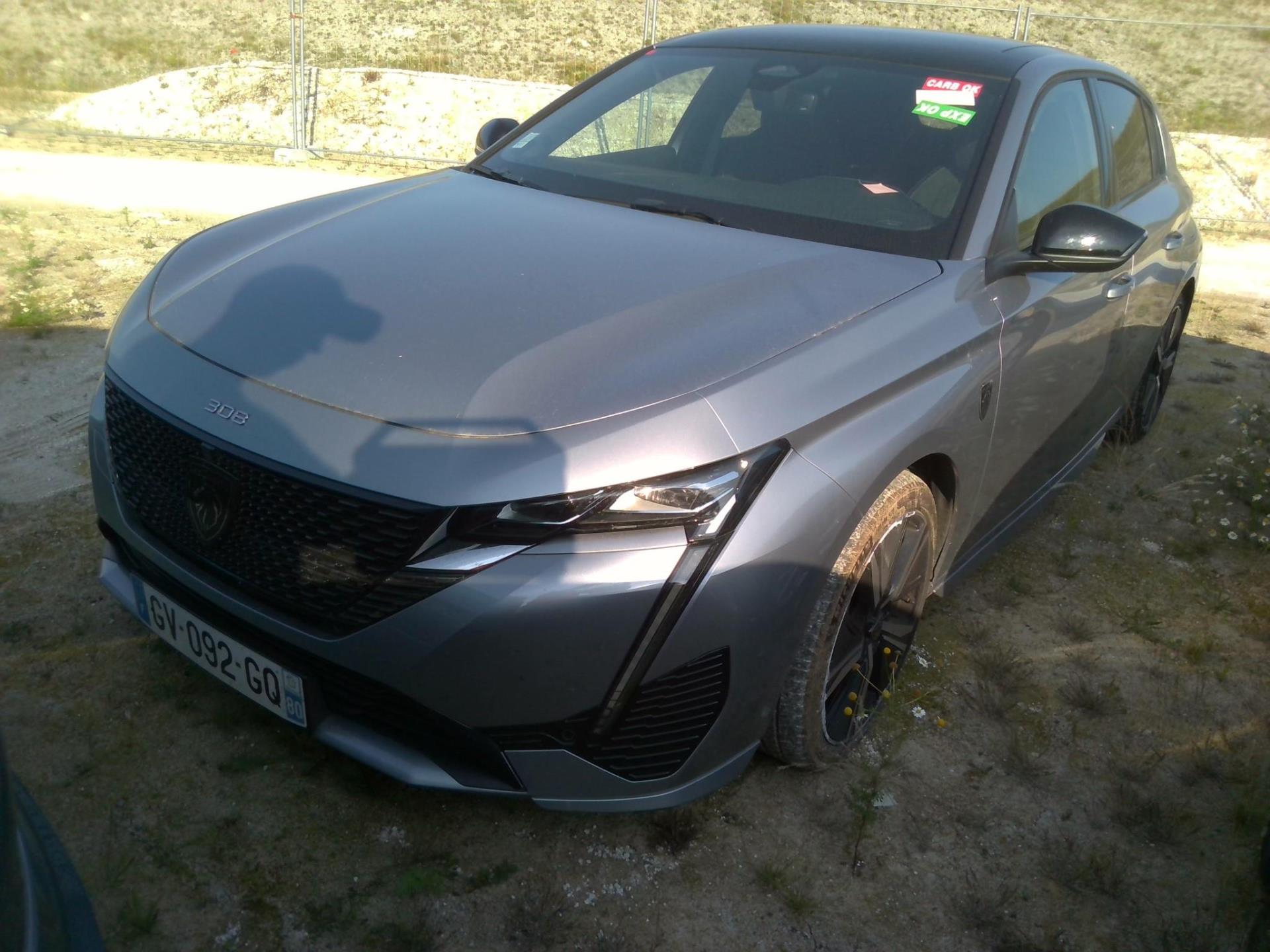 308 III