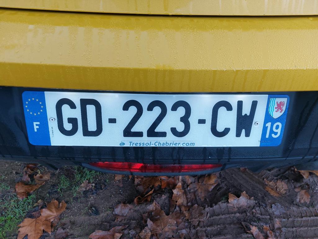 Peugeot 208 BlueHDi 100 S&S BVM6 Active 2021