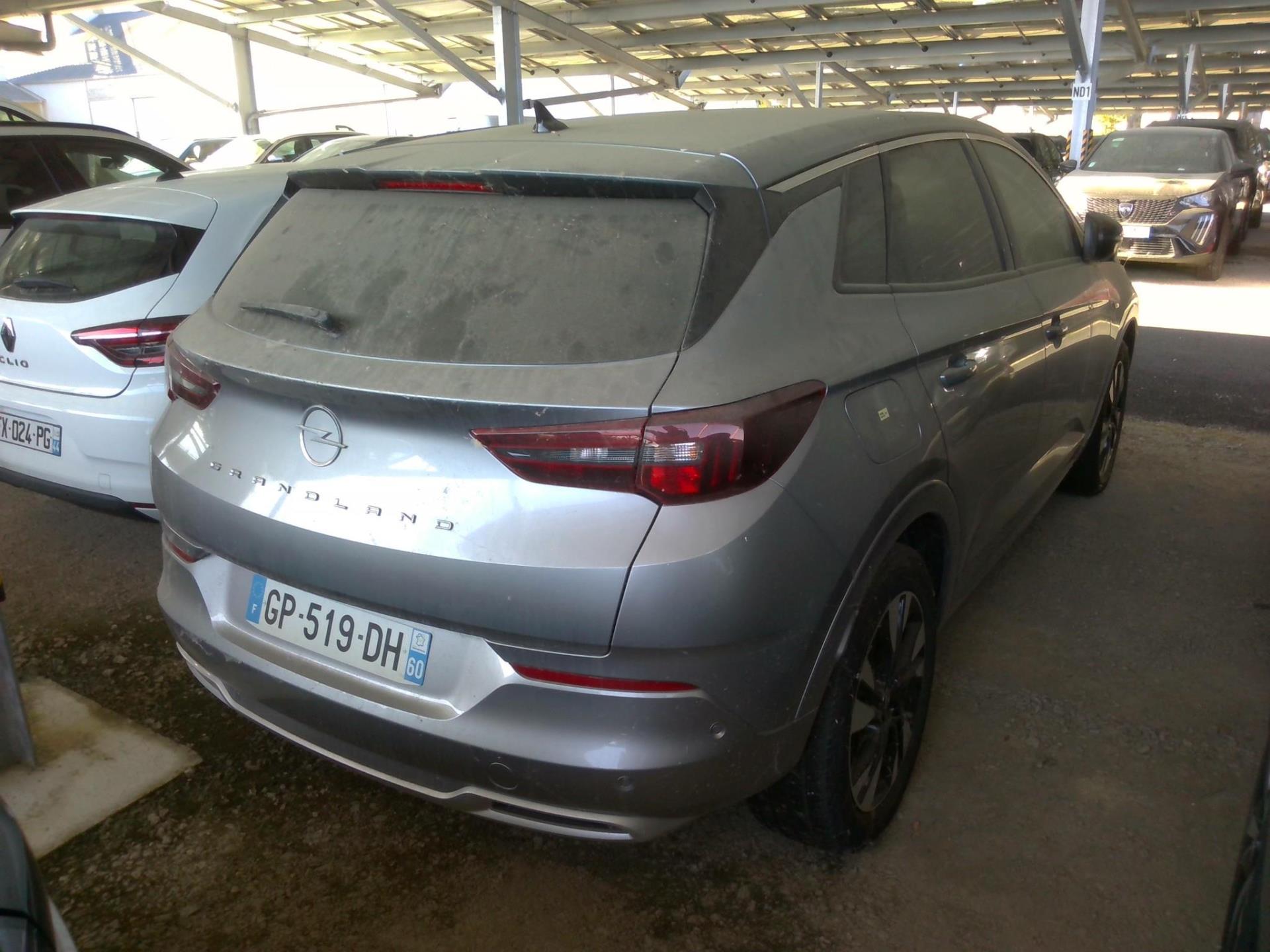 Opel Grandland 1.5 Diesel 130 ch BVA8 Elegance Business 2023