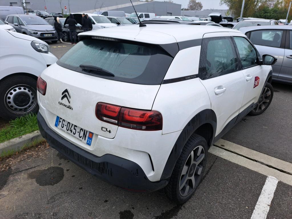 Citroen C4 Cactus BlueHDi 100 S&S BVM6 Feel 2019