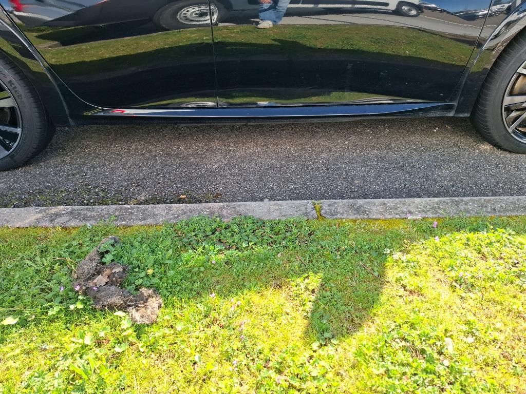 Peugeot 208 Electrique 50 kWh 136ch GT 2023