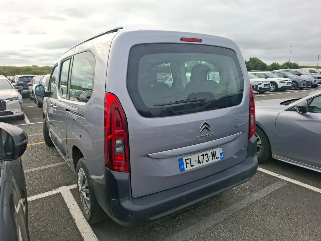 Citroen Berlingo Taille XL BlueHDi 100 S&S BVM Feel 2019
