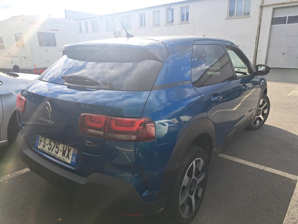 Citroen C4 Cactus BlueHDi 100 S&S BVM6 Shine Business 2020