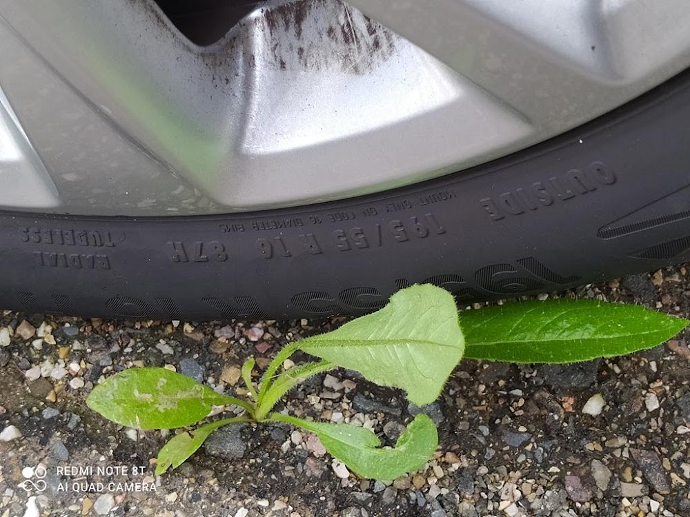 Foto Opel Corsa 8